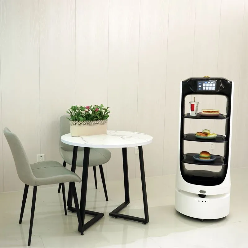 A Reeman Service Robot bemutatása